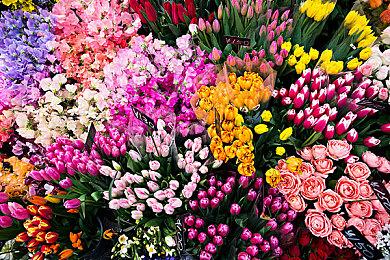 《博德之门3》抢先体验销量比《神界：原罪2》高5倍