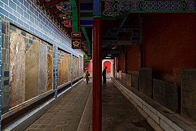 《极品飞车22：不羁》正式公开 12月2日发售