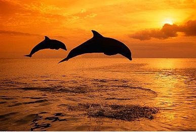 任天堂8GB内存新版Switch开发机用途成谜